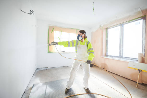 Best Mold Odor Removal Services  in Little Walnut Village, NM