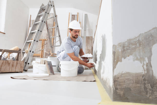 Best Basement Mold Removal  in Little Walnut Village, NM