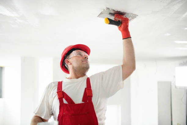 Best Mold Remediation for Healthcare Facilities  in Little Walnut Village, NM