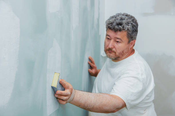 Best Emergency Mold Remediation  in Little Walnut Village, NM