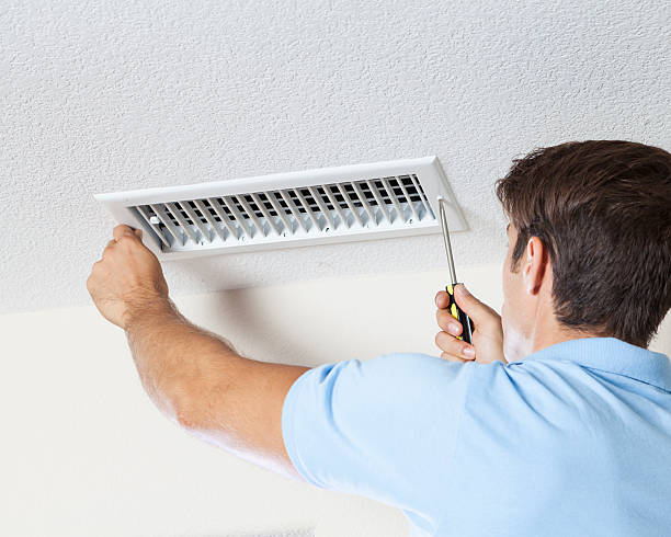 Professional Mold Removal in Little Walnut Village, NM