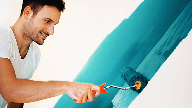 Best Attic Mold Removal  in Little Walnut Village, NM