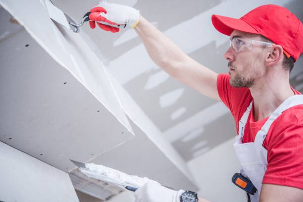 Best Water Damage & Mold Remediation  in Little Walnut Village, NM