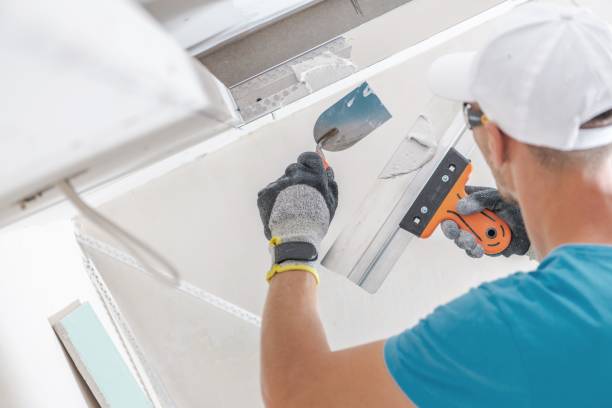 Environmental Consulting for Mold Prevention in Little Walnut Village, NM